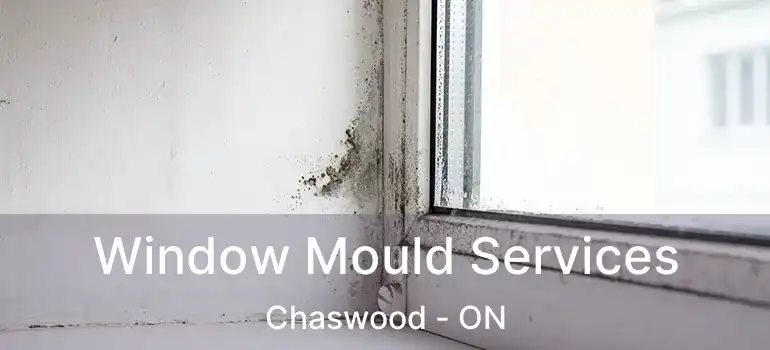  Window Mould Services Chaswood - ON