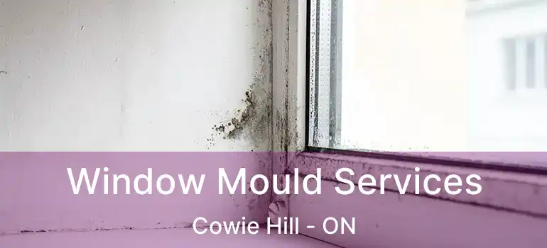  Window Mould Services Cowie Hill - ON