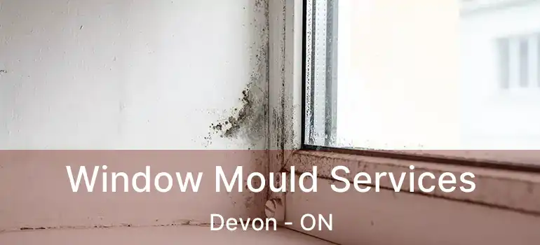  Window Mould Services Devon - ON