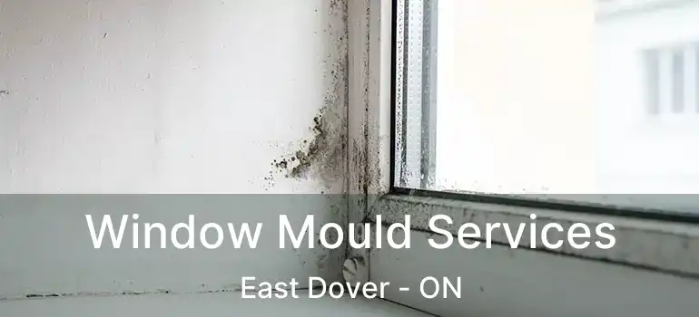  Window Mould Services East Dover - ON