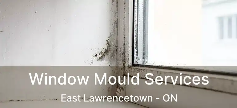  Window Mould Services East Lawrencetown - ON