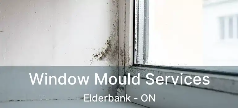 Window Mould Services Elderbank - ON