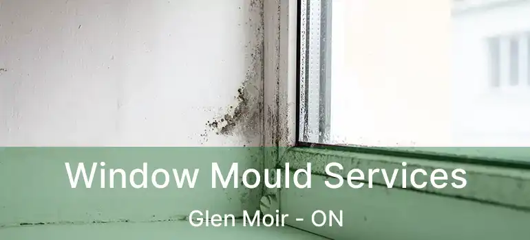  Window Mould Services Glen Moir - ON