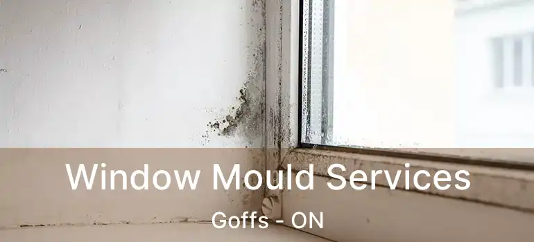  Window Mould Services Goffs - ON