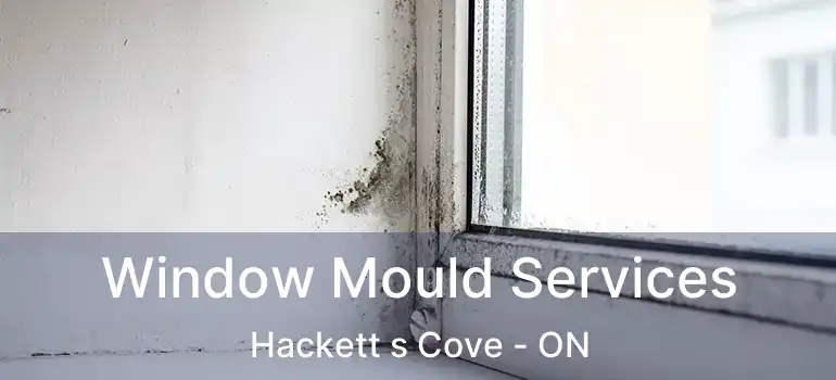  Window Mould Services Hackett s Cove - ON