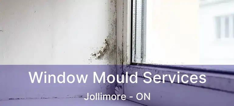  Window Mould Services Jollimore - ON