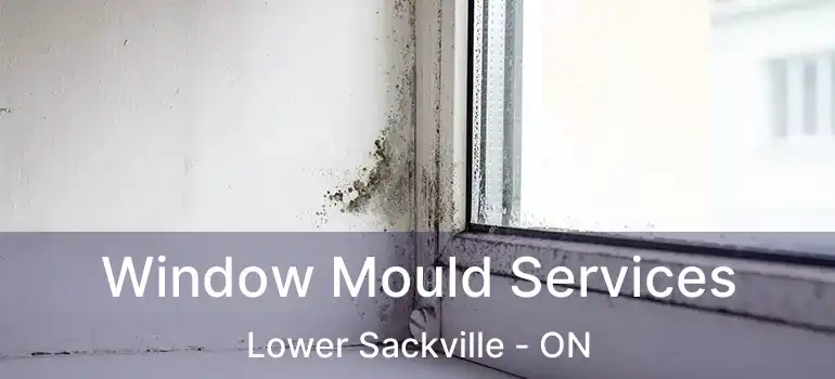  Window Mould Services Lower Sackville - ON