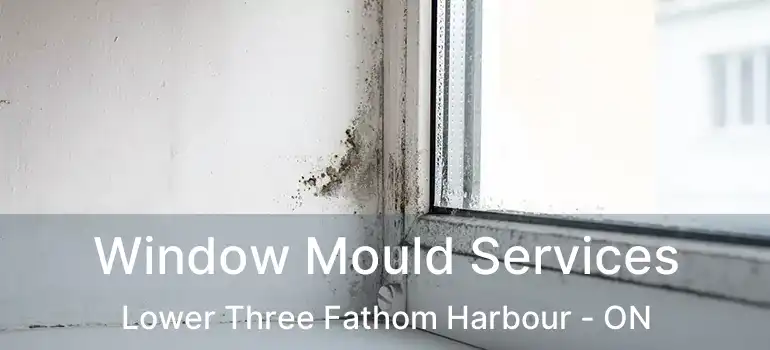  Window Mould Services Lower Three Fathom Harbour - ON
