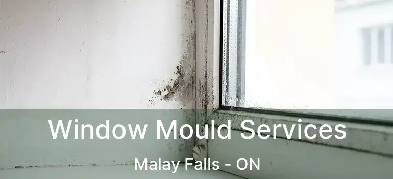  Window Mould Services Malay Falls - ON