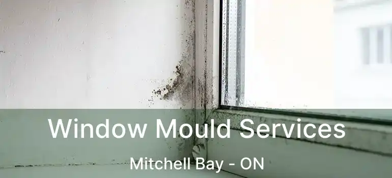  Window Mould Services Mitchell Bay - ON