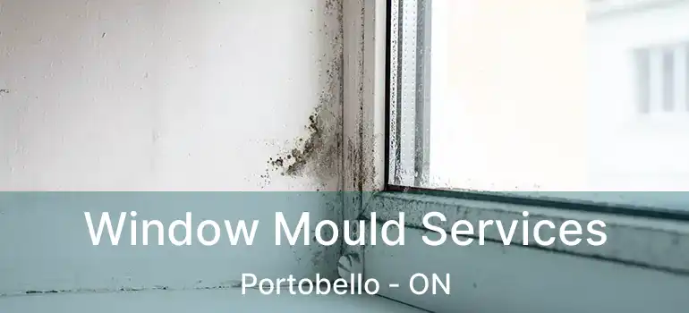  Window Mould Services Portobello - ON
