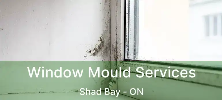  Window Mould Services Shad Bay - ON