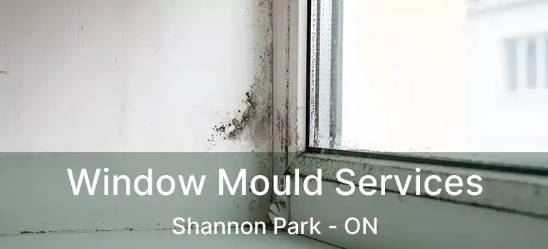  Window Mould Services Shannon Park - ON