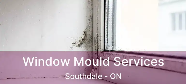  Window Mould Services Southdale - ON