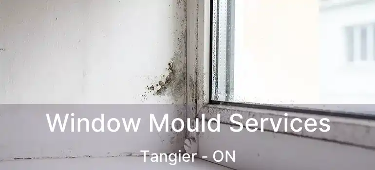  Window Mould Services Tangier - ON