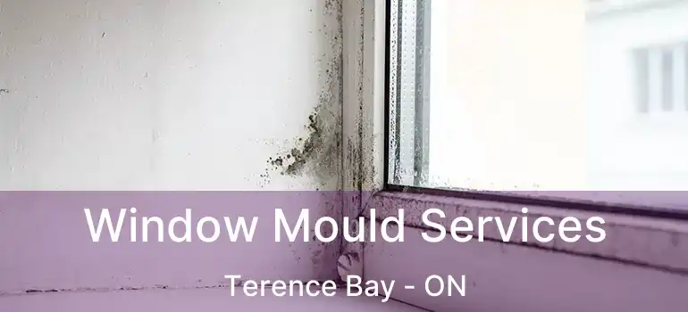  Window Mould Services Terence Bay - ON
