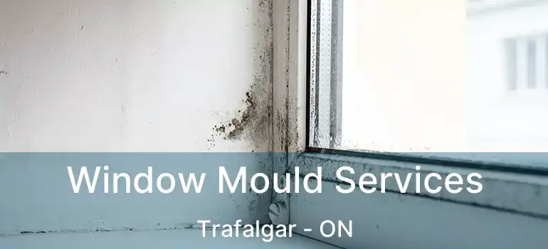  Window Mould Services Trafalgar - ON