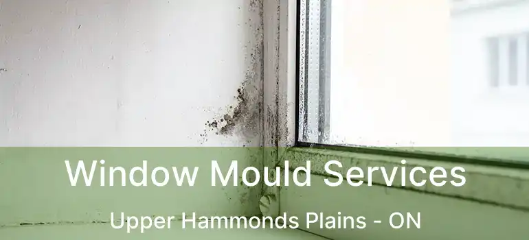 Window Mould Services Upper Hammonds Plains - ON