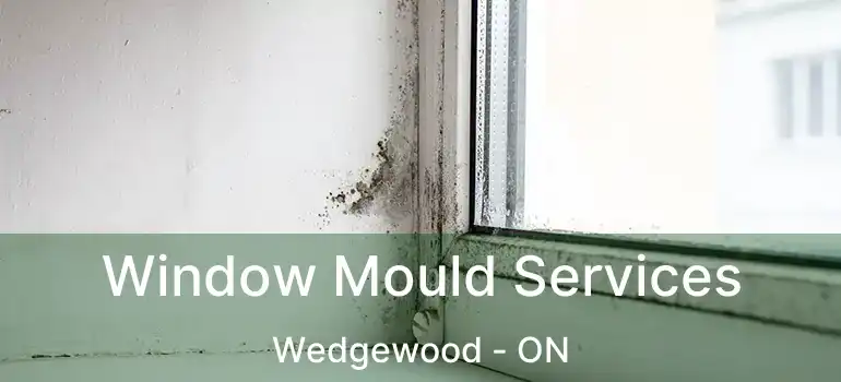  Window Mould Services Wedgewood - ON