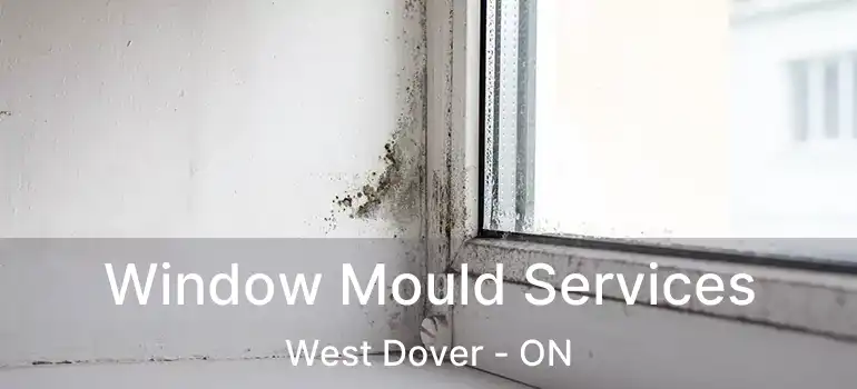  Window Mould Services West Dover - ON