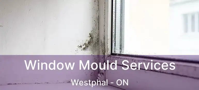  Window Mould Services Westphal - ON