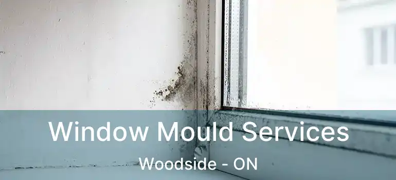  Window Mould Services Woodside - ON