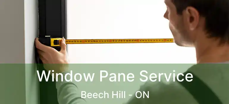  Window Pane Service Beech Hill - ON