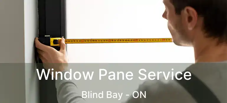  Window Pane Service Blind Bay - ON