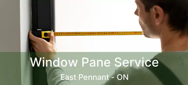  Window Pane Service East Pennant - ON