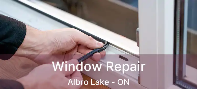  Window Repair Albro Lake - ON