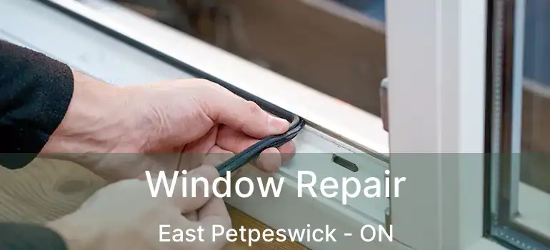  Window Repair East Petpeswick - ON