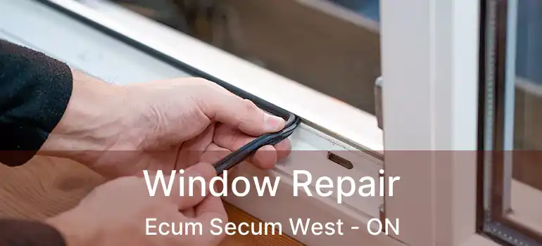  Window Repair Ecum Secum West - ON