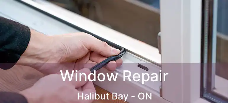  Window Repair Halibut Bay - ON