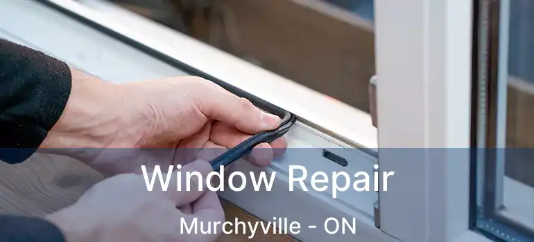  Window Repair Murchyville - ON
