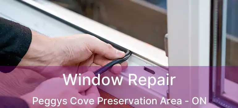  Window Repair Peggys Cove Preservation Area - ON