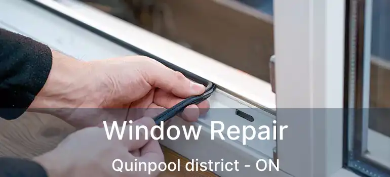  Window Repair Quinpool district - ON