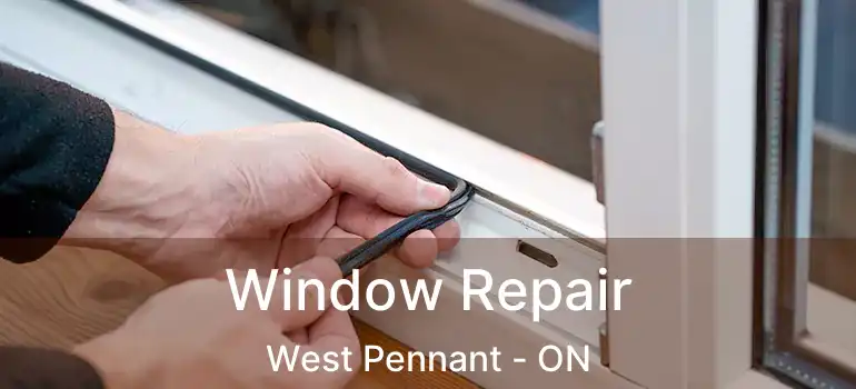  Window Repair West Pennant - ON