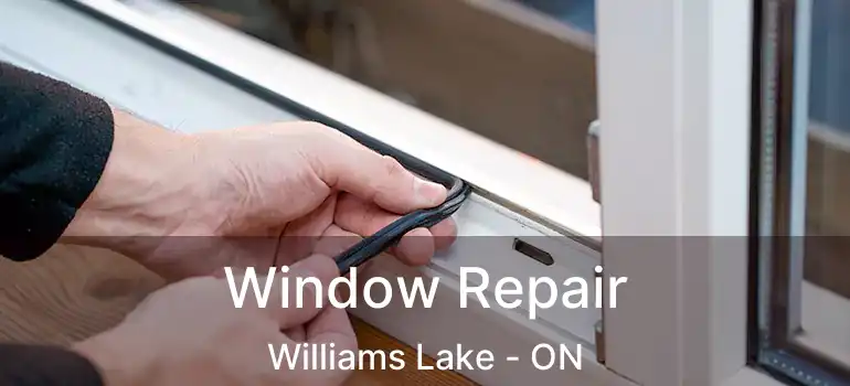 Window Repair Williams Lake - ON