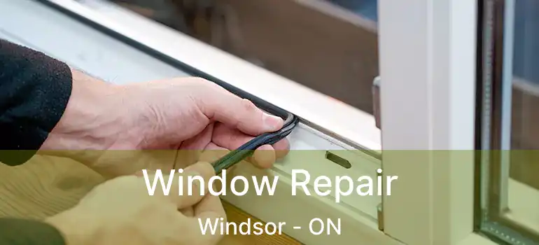  Window Repair Windsor - ON