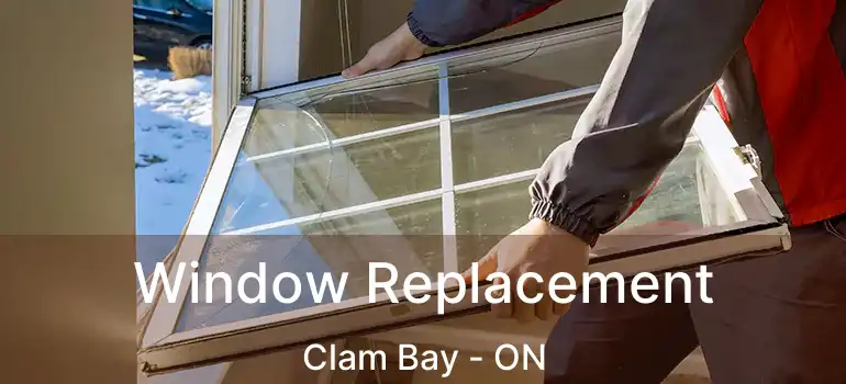 Window Replacement Clam Bay - ON
