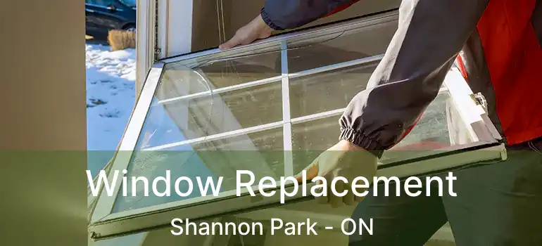  Window Replacement Shannon Park - ON