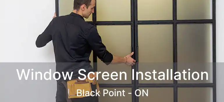  Window Screen Installation Black Point - ON