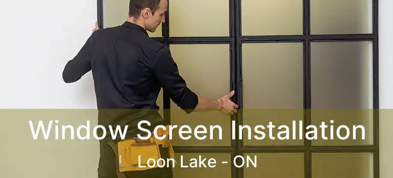  Window Screen Installation Loon Lake - ON