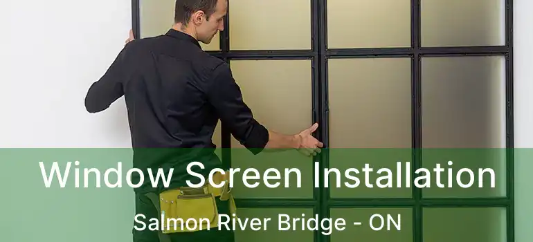  Window Screen Installation Salmon River Bridge - ON