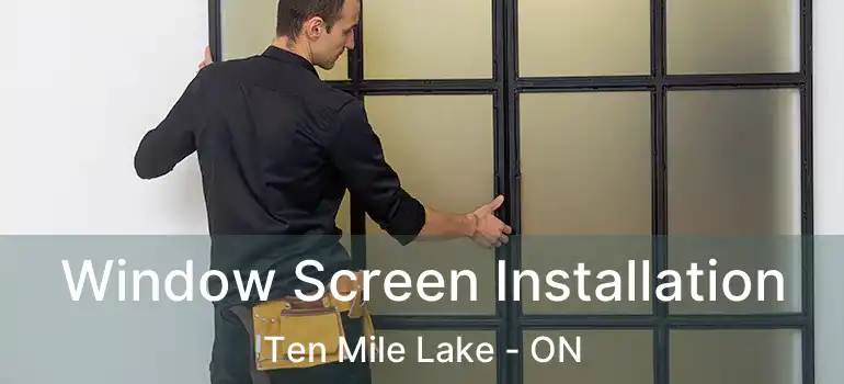  Window Screen Installation Ten Mile Lake - ON