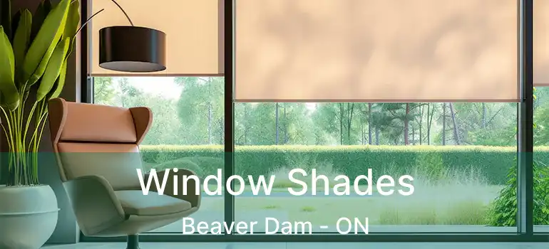  Window Shades Beaver Dam - ON