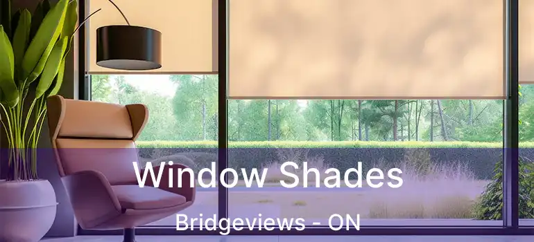  Window Shades Bridgeviews - ON