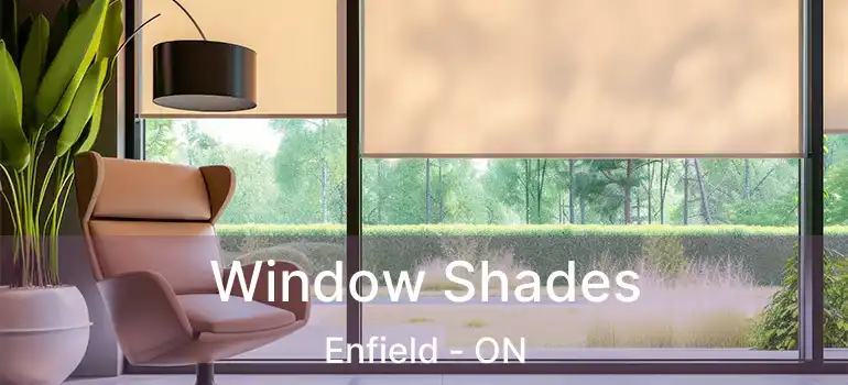  Window Shades Enfield - ON