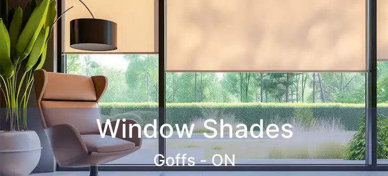  Window Shades Goffs - ON