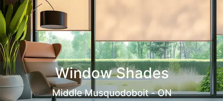  Window Shades Middle Musquodoboit - ON